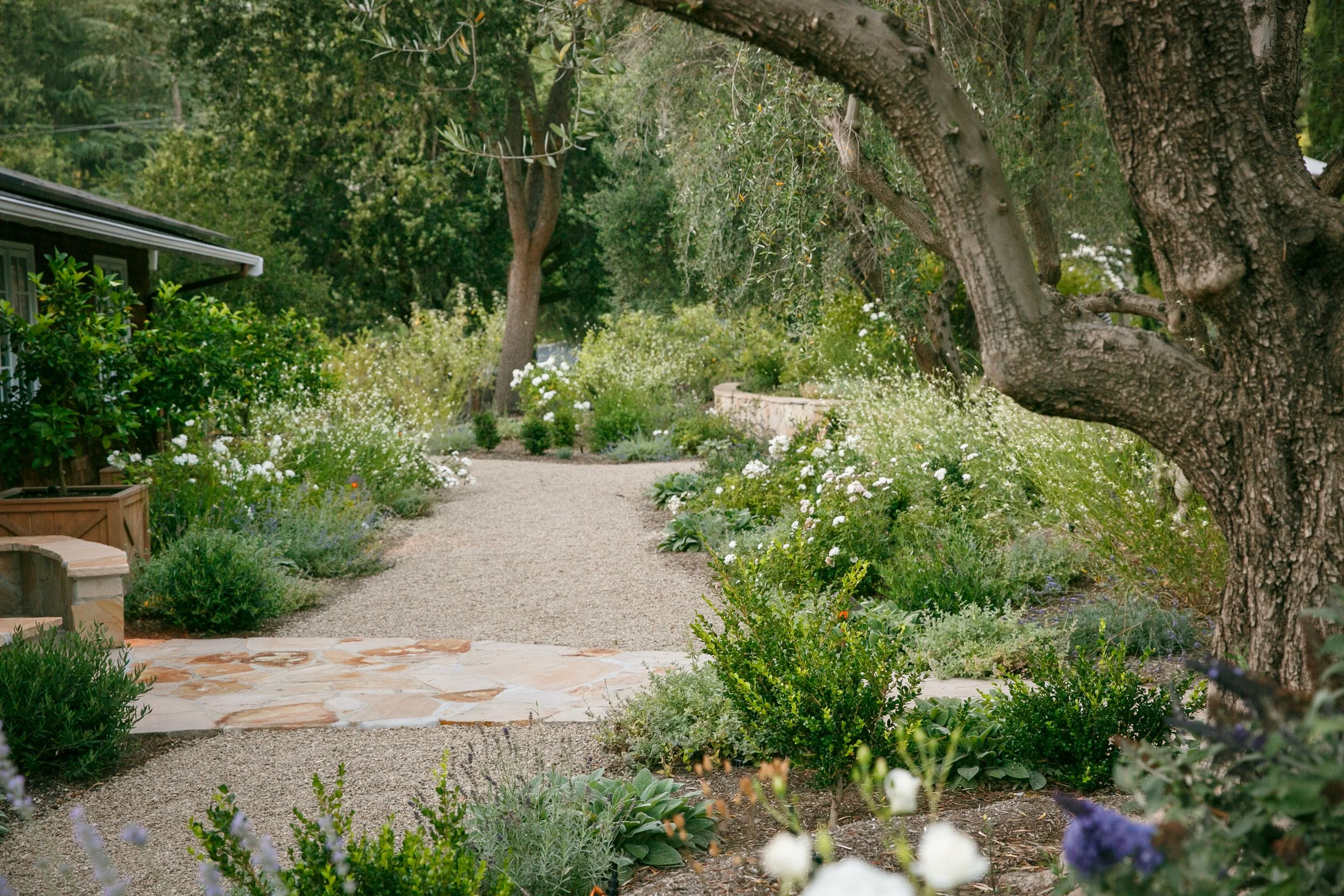 cottage-style-landscape-design-california-fraysse6.jpg