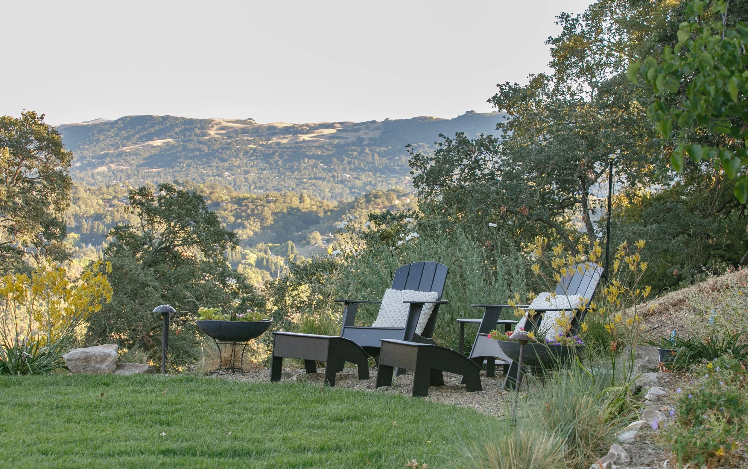 hillside-estate-landscape-design-pool-outdoor-living-east-bay9.jpg