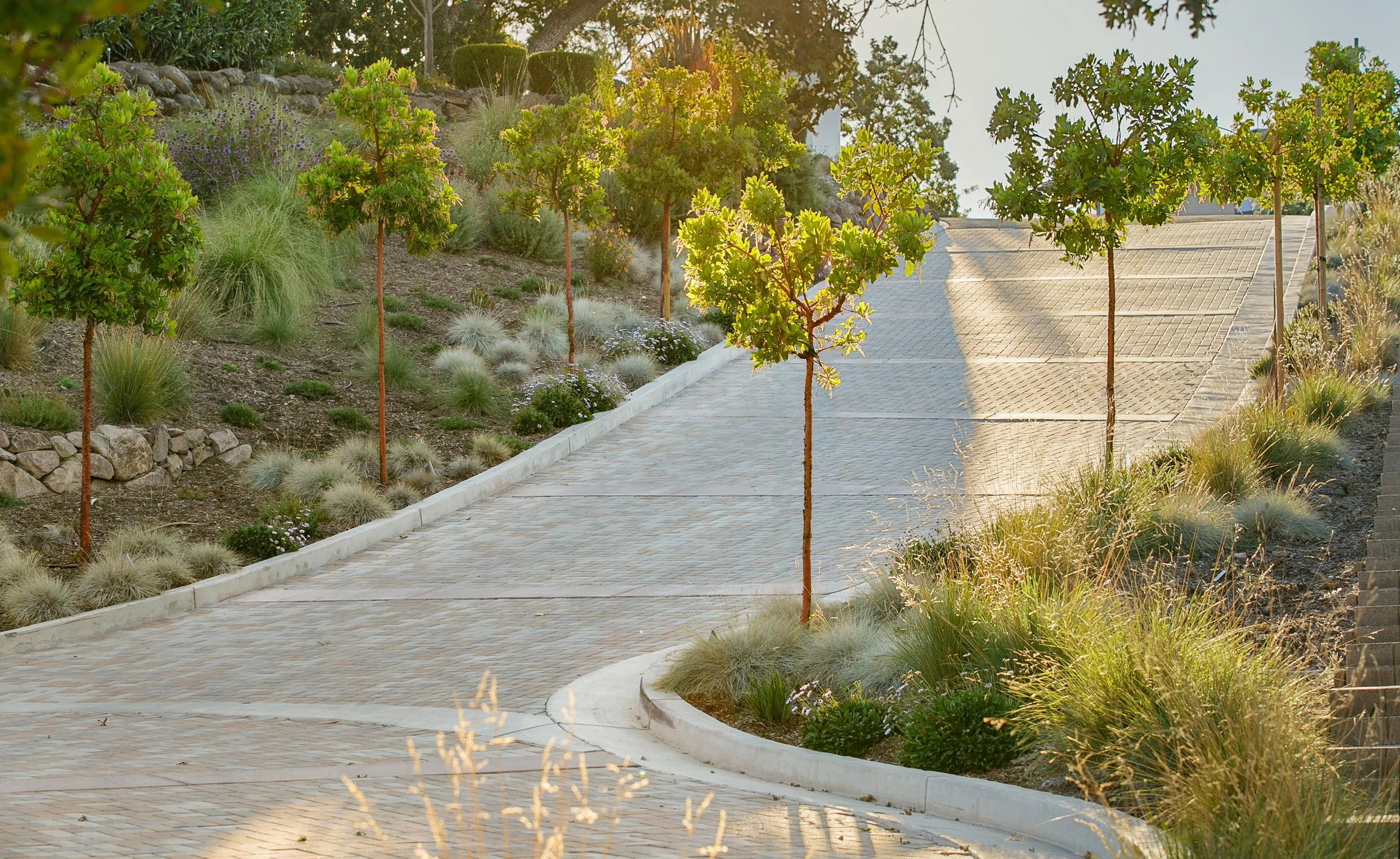 hillside-estate-landscape-design-pool-outdoor-living-east-bay10.jpg
