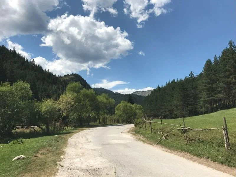 Mountain valley landscape with a winding country road, pine forests, green meadow, and blue sky with clouds, symbolizing a peaceful healing journey and personal growth.