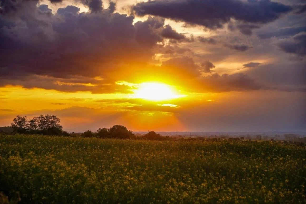 The Fire Element in TCM: Joy, Connection, and the Restlessness of Summer