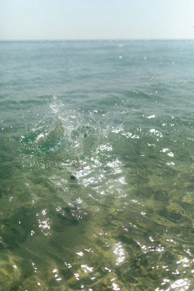 Gentle water ripples and light reflections symbolising emotional release, clarity, and inner healing.