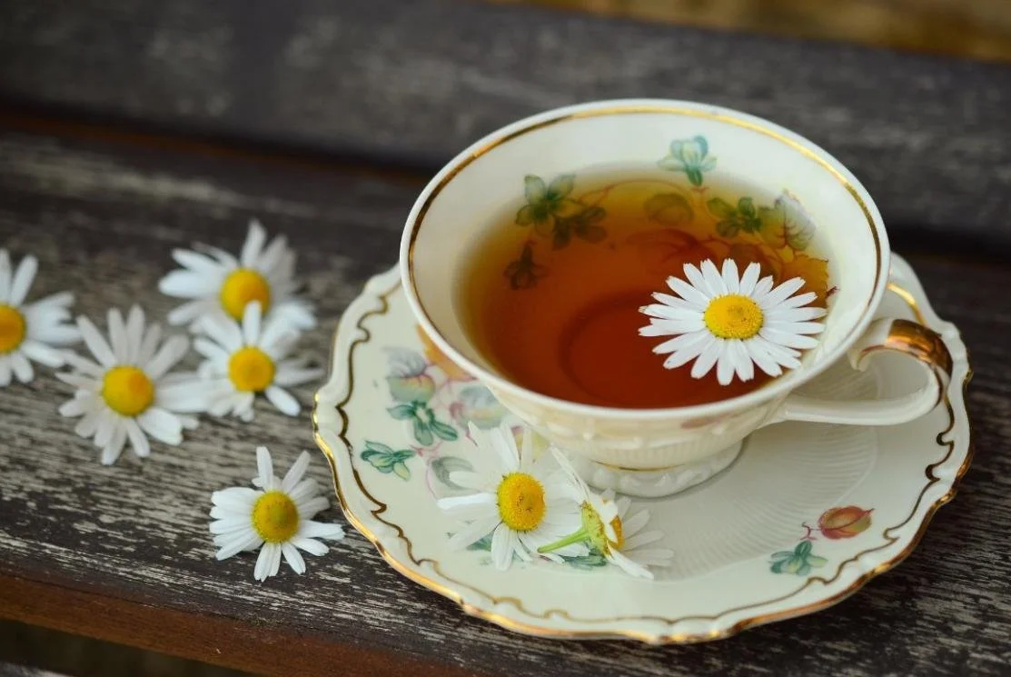 Chamomile tea in a vintage floral cup surrounded by fresh daisy flowers - natural healing and holistic wellness