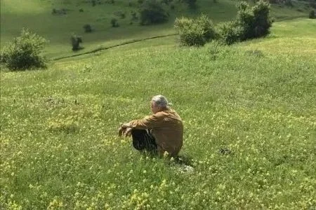 Person sitting quietly in nature, reflecting after recognizing a repeating life pattern