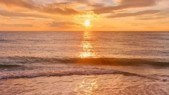 Golden summer sunrise over a calm ocean, with warm orange light reflecting across the water and gentle waves reaching the shore, symbolising the Fire Element in Traditional Chinese Medicine.