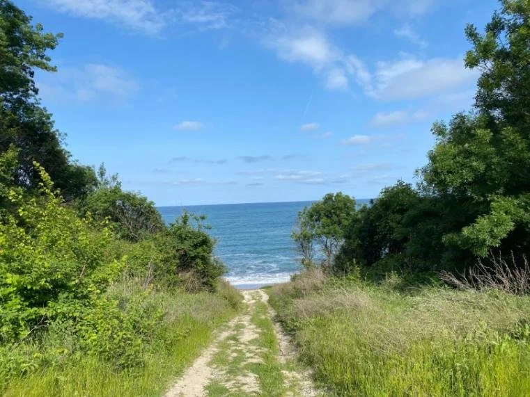 A peaceful path leading through nature to the sea, representing the lifelong journey of Reiki practice and self-discovery.