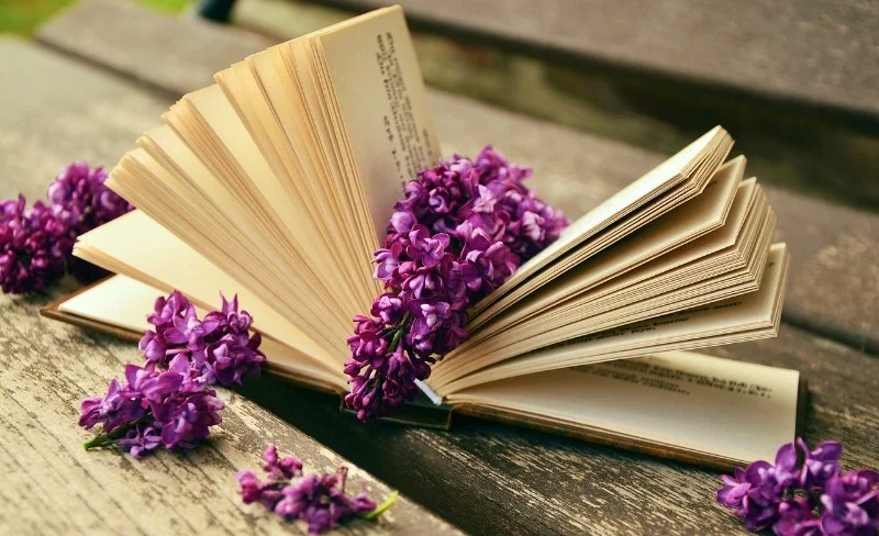 Open book with purple lilac flowers on a wooden surface - spiritual wisdom, intuitive learning and energy healing guidance