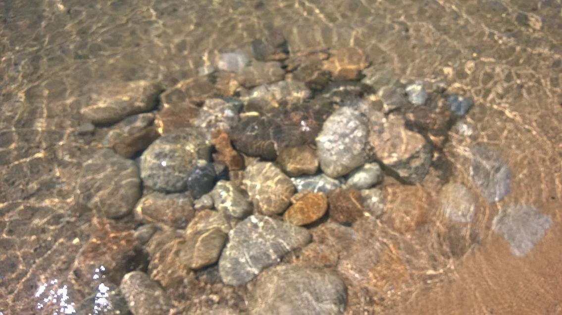 Stones beneath flowing water representing trust and letting go of worry