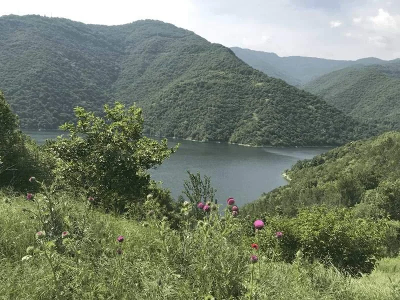 Spring landscape with green mountains and lake representing Wood element energy and liver flow in Traditional Chinese Medicine