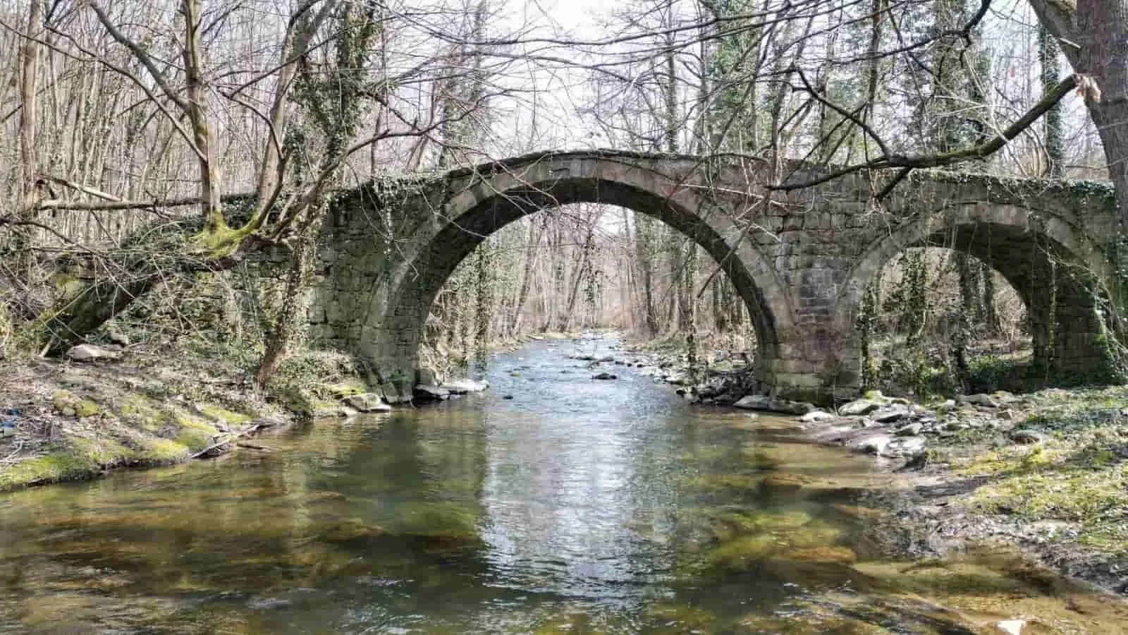 Old stone bridge over a flowing river surrounded by trees