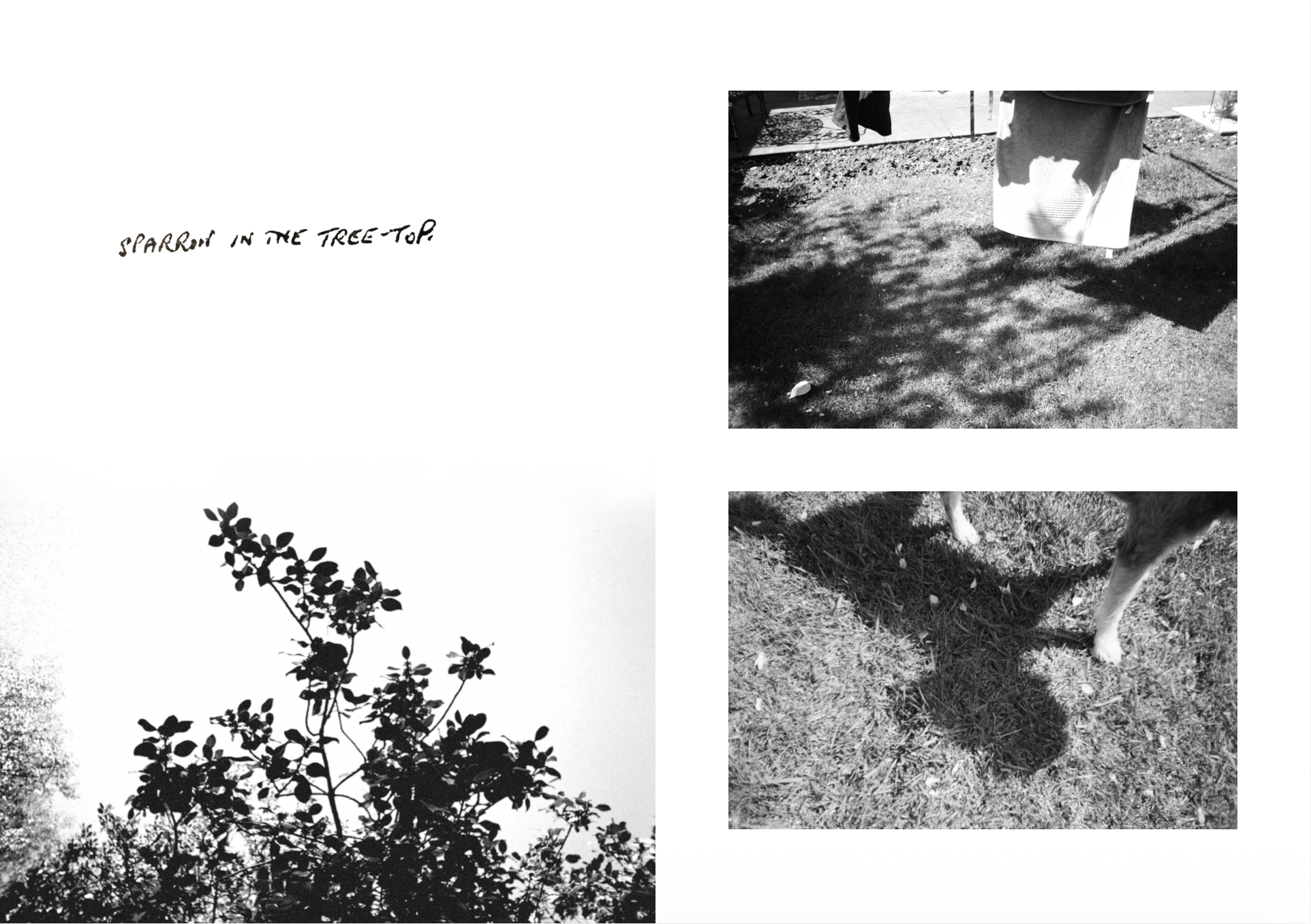 IMG_9957.PNG