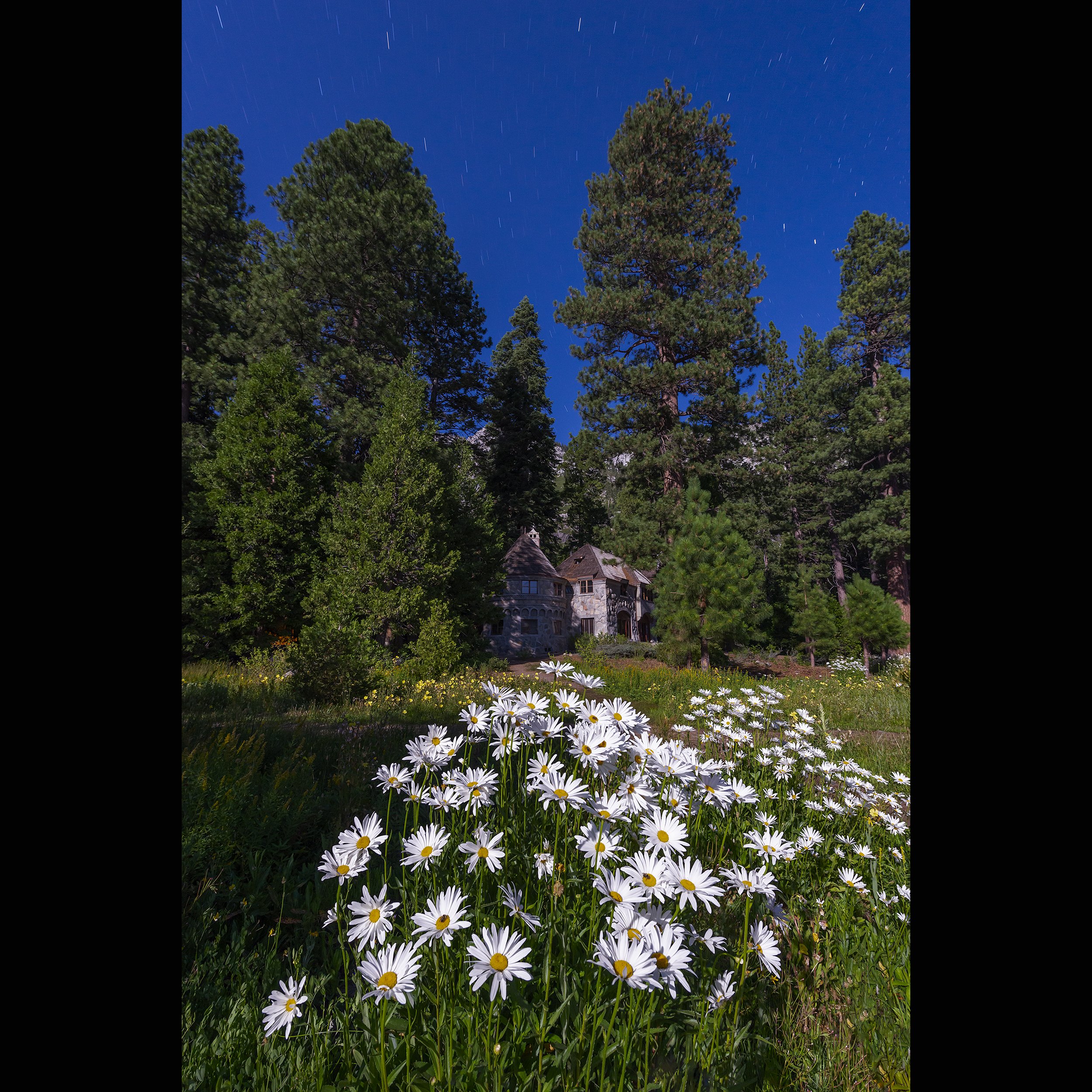Vikingsholm and Flowers Moonlit_DSC8452 store.jpg