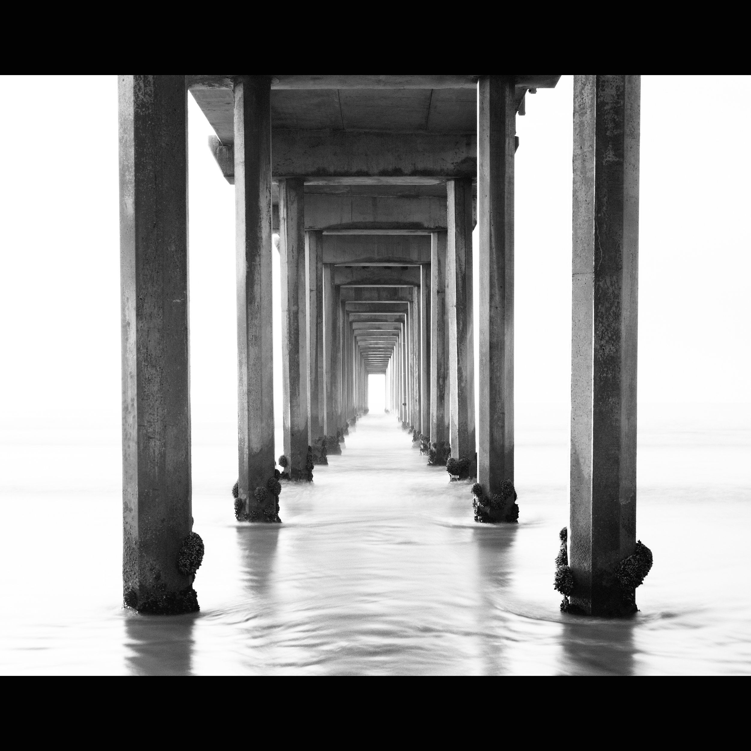 Scripps Pier Black and Whitestore.jpg
