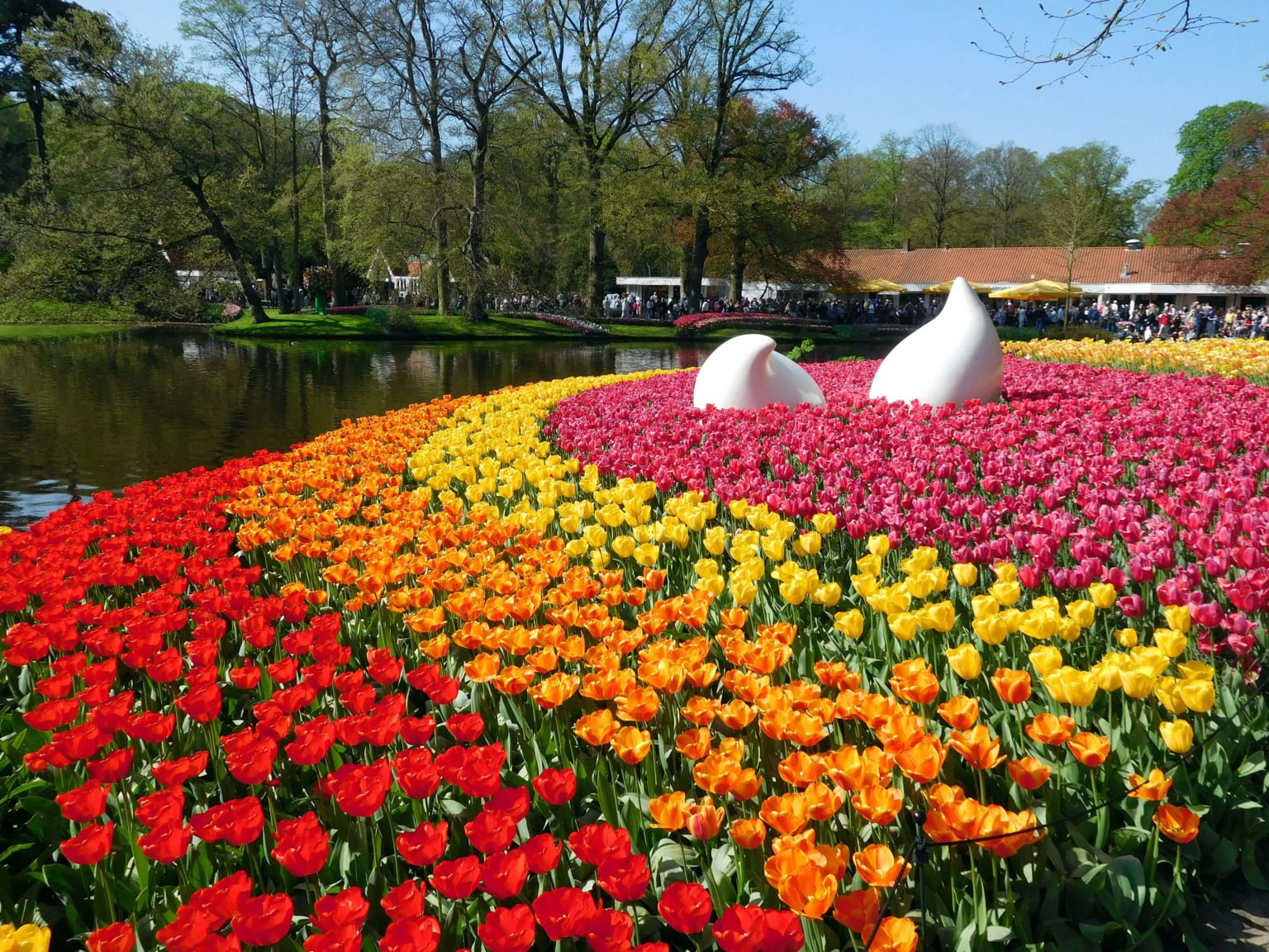 keukenhof.jpg