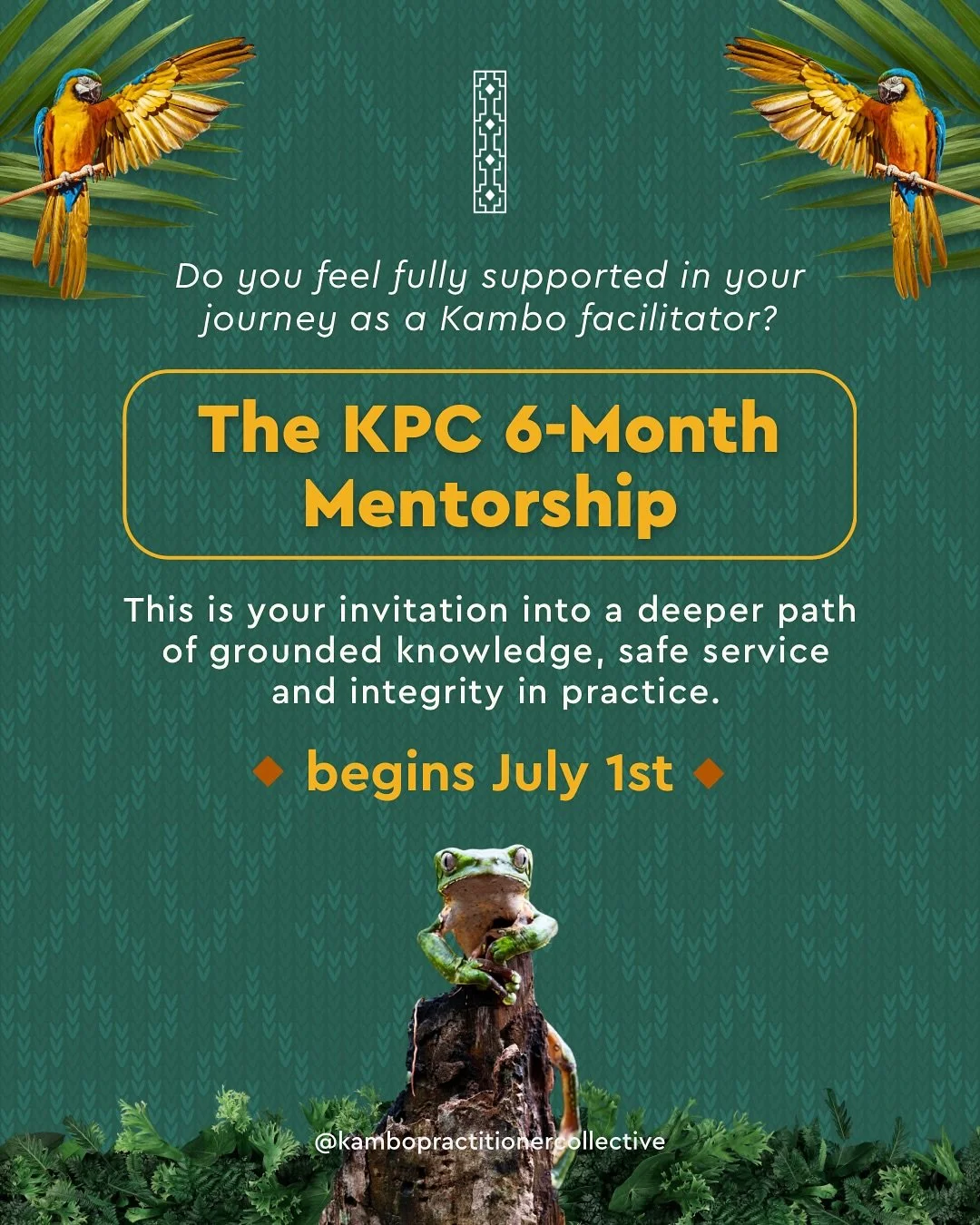 In a field growing faster than its roots can anchor… knowledge, connection, and understanding matter more than ever. ๐ธ
After a year of listening, refining, and remembering what this path is truly about, we’re opening our first 6-month