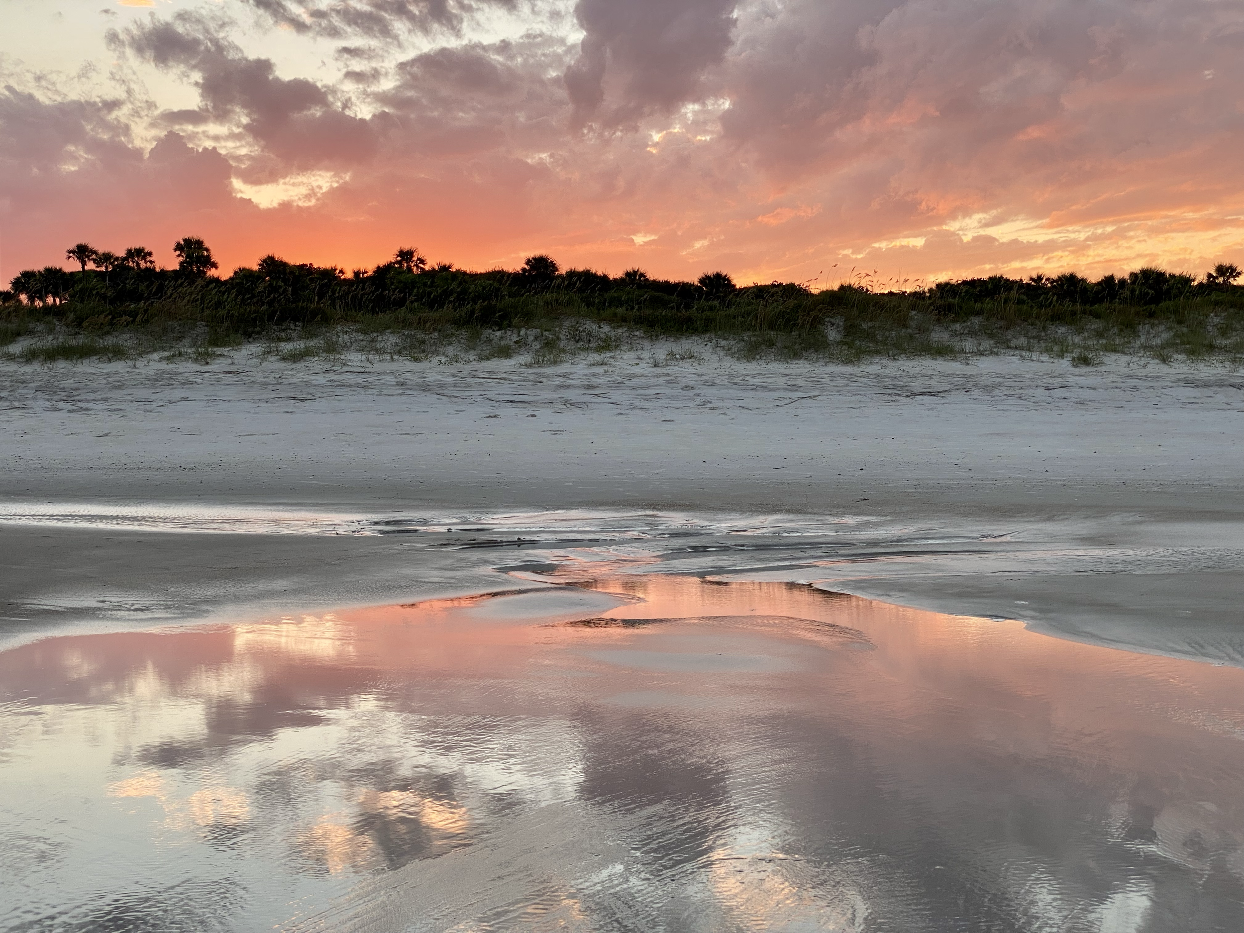 Beach near Jacksonville, Florida 