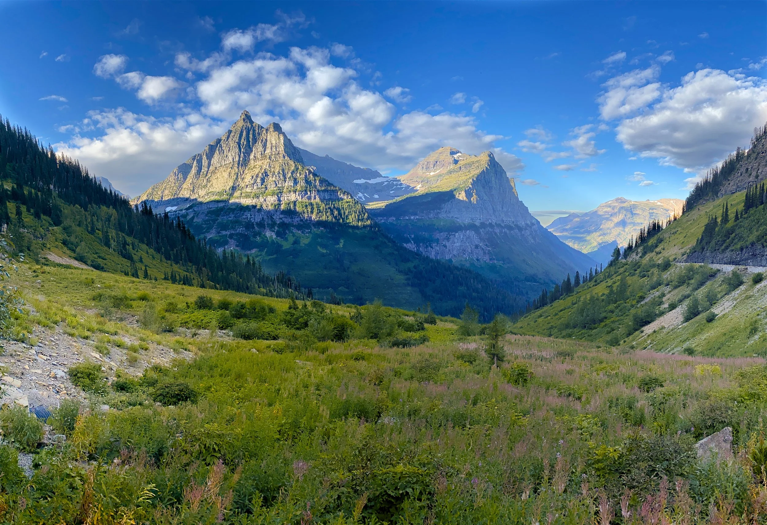 In Glacier National Park near Logan Pass