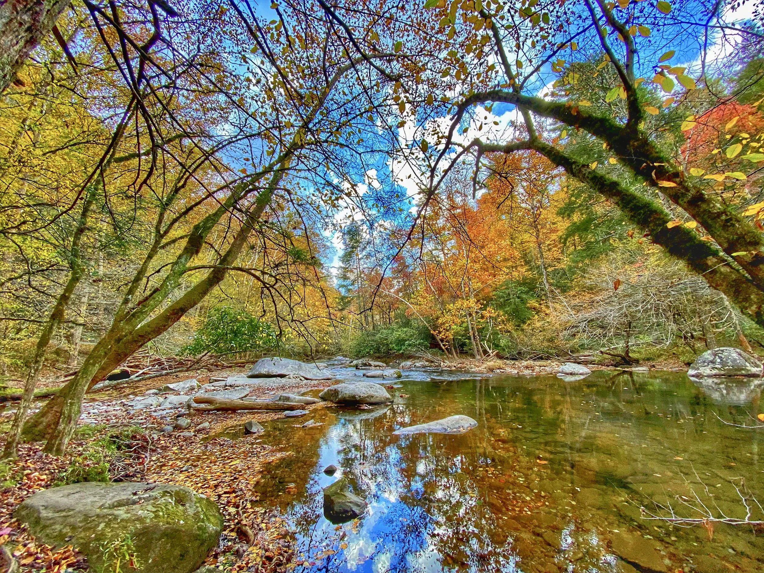 Great Smoky Mountains National Park