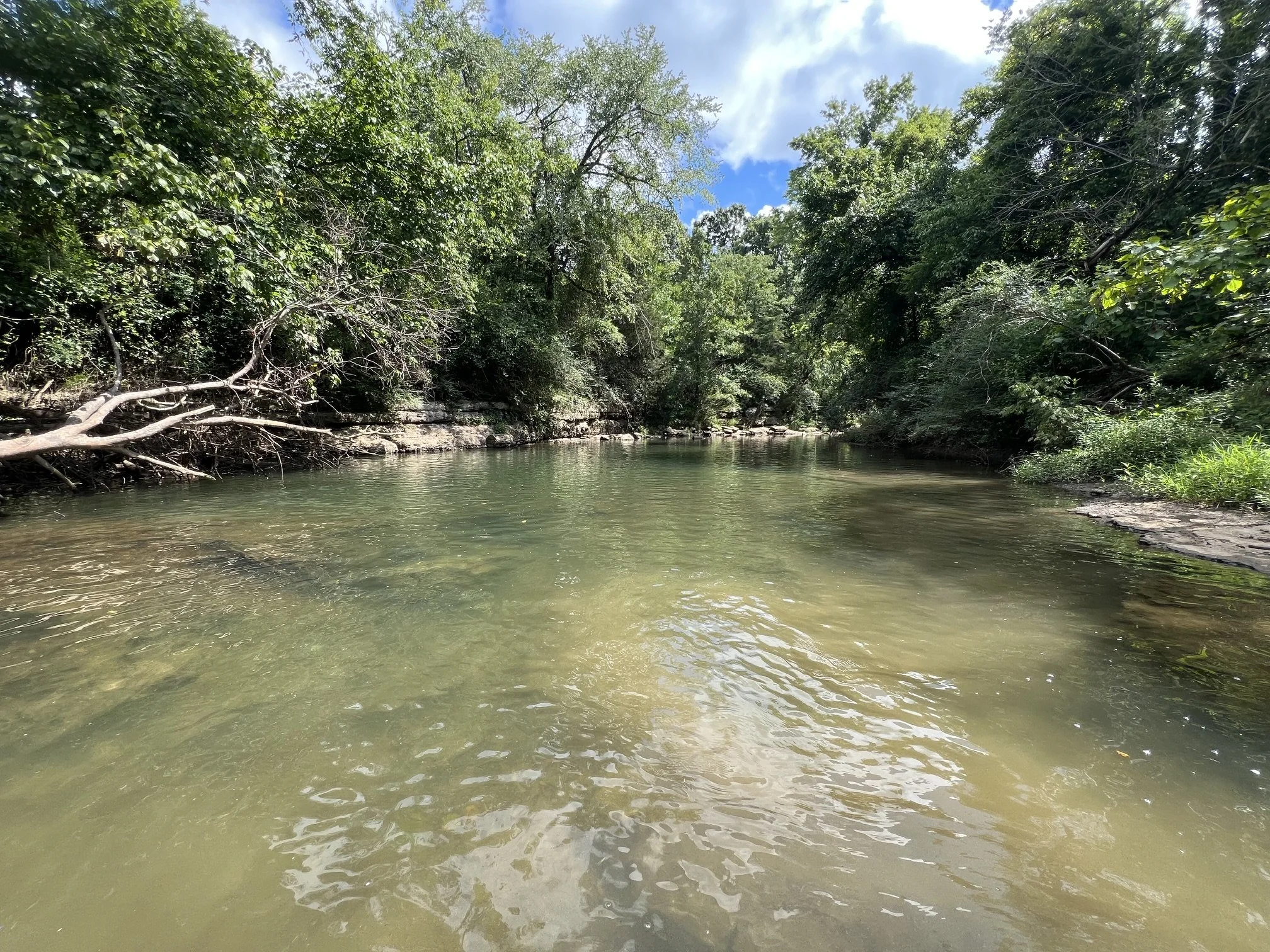 Big Rock Creek - Lewisburg, TN 