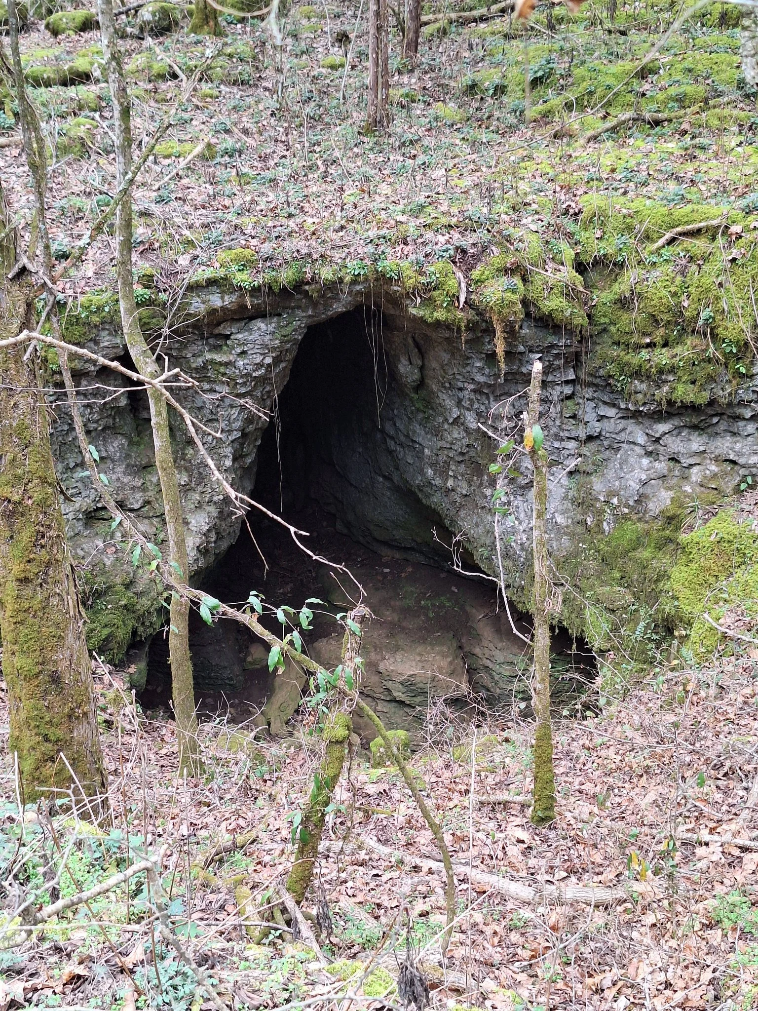 Cave - Marshall County