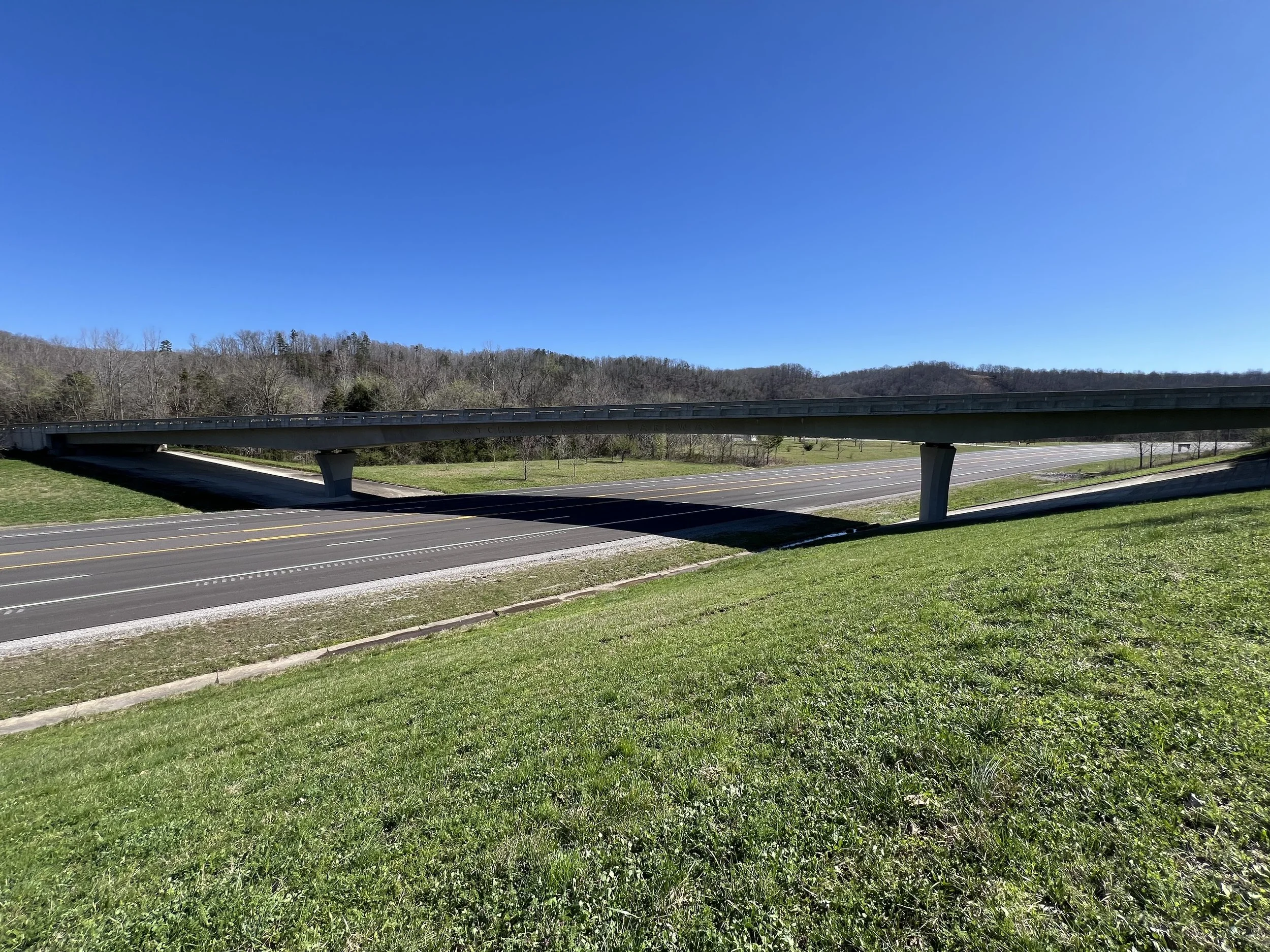 natchez overpass.jpeg