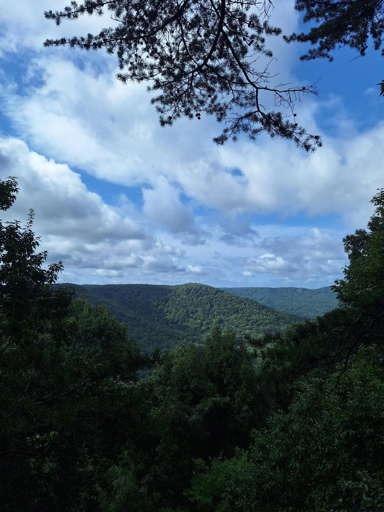 Denny Cove - South Cumberland State Park 