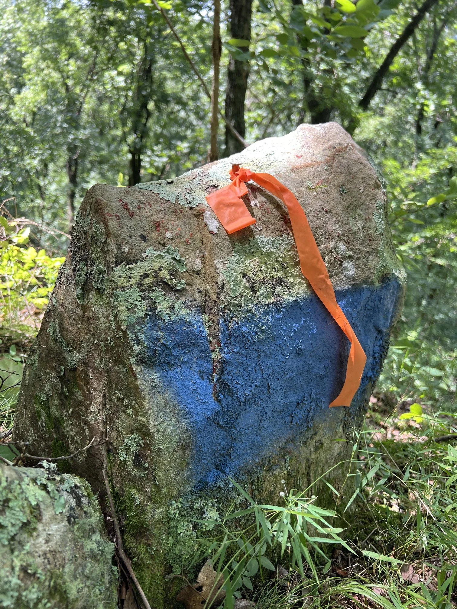 stonemon.jpeg