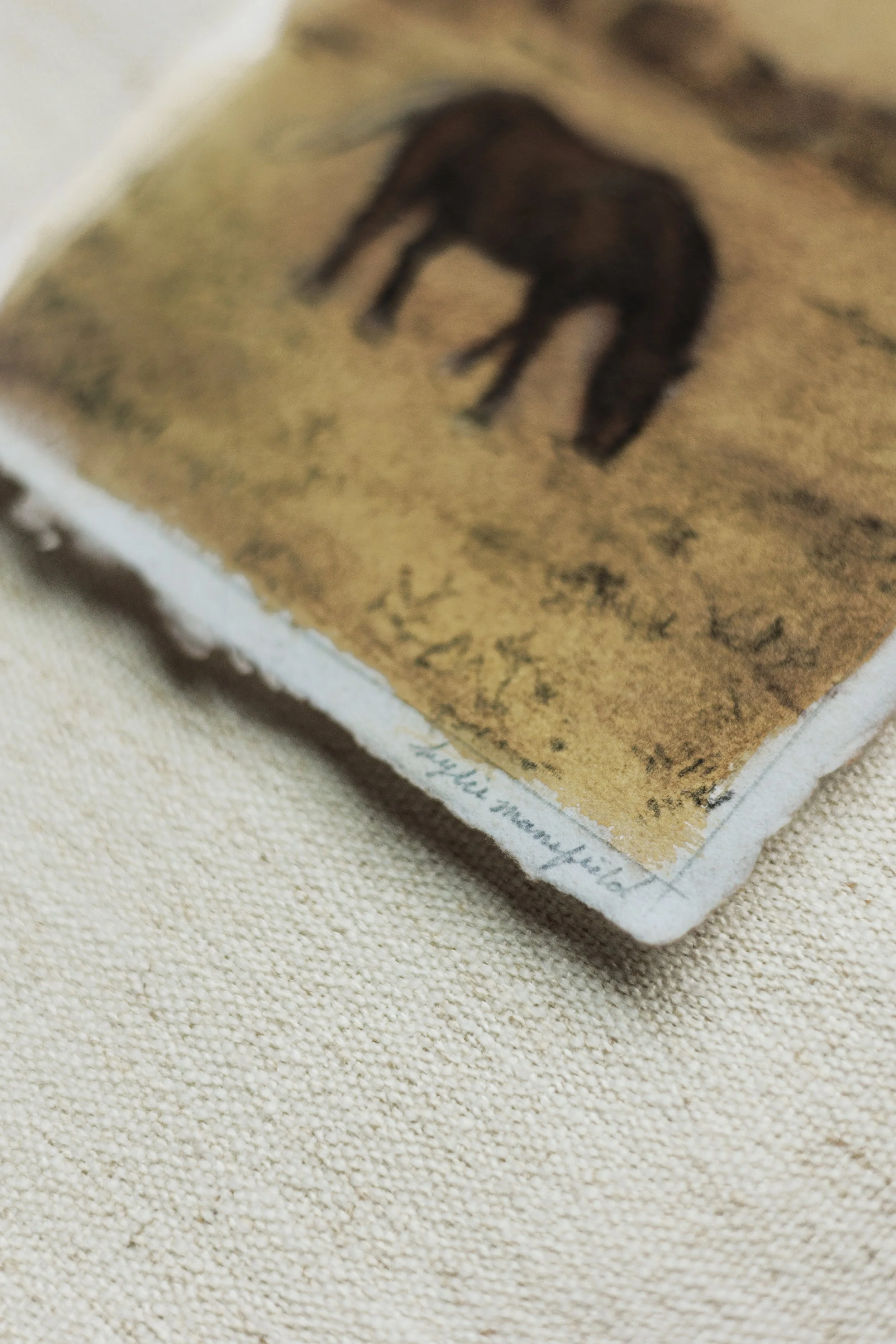 Landscapes & Animals