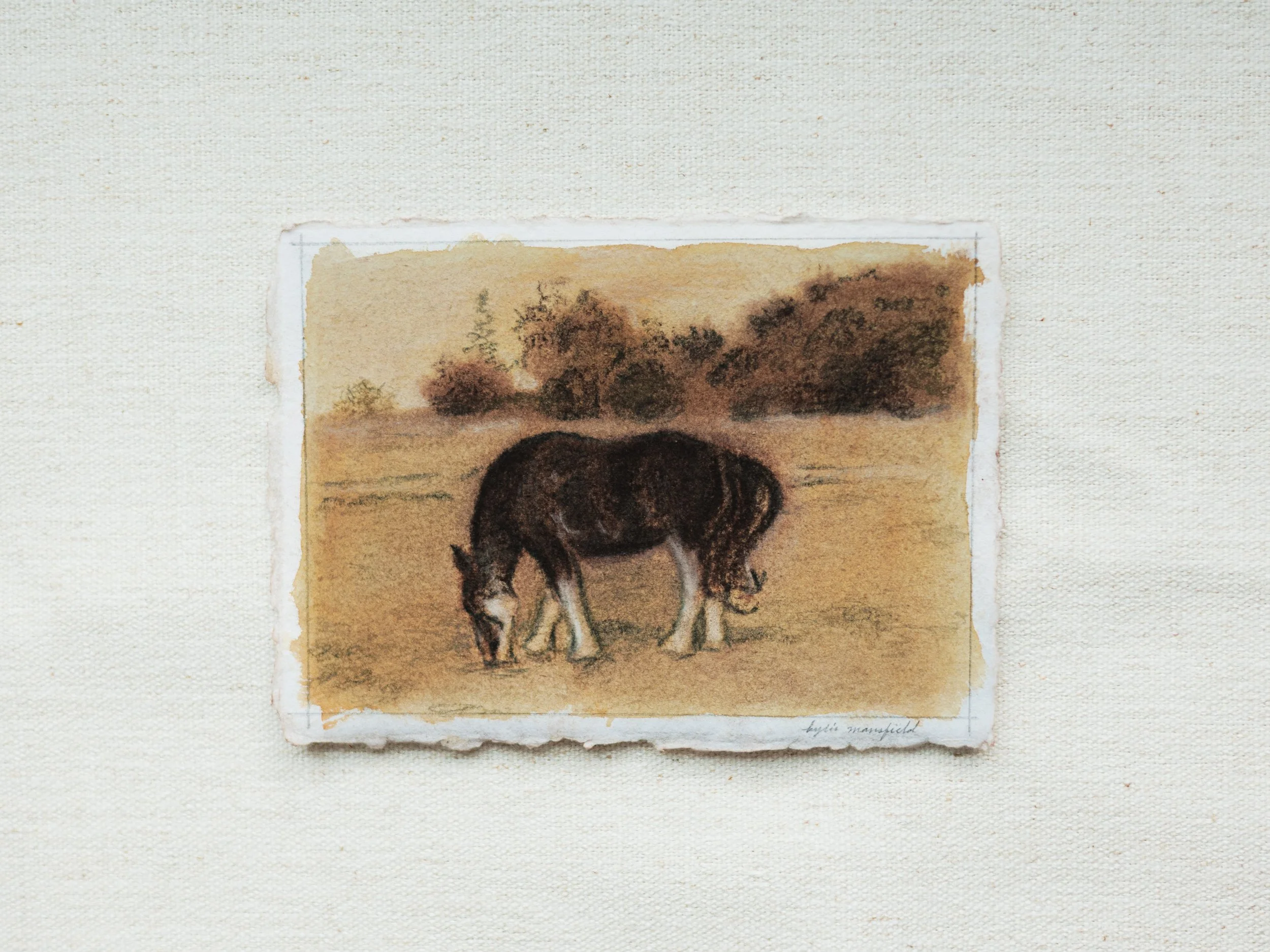 HORSE LANDSCAPE NO. 2