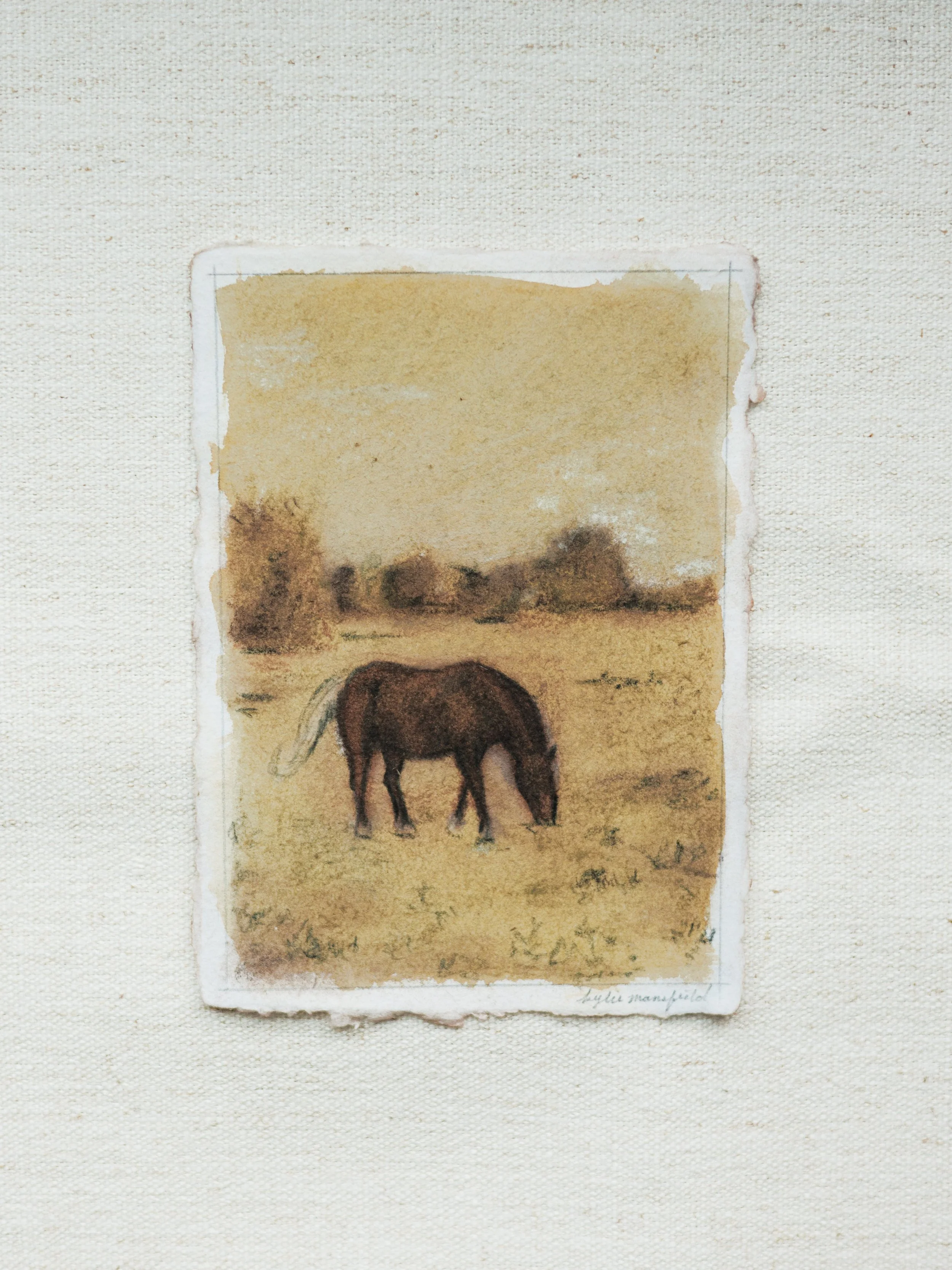 HORSE LANDSCAPE NO. 1