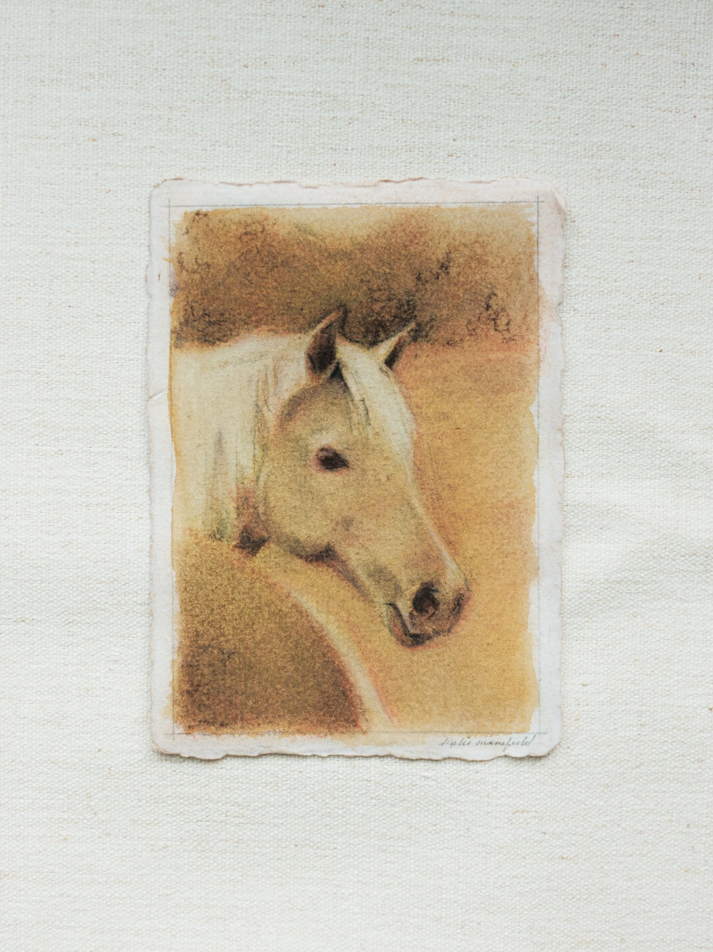 HORSE PROFILE IN YELLOW OCHRE