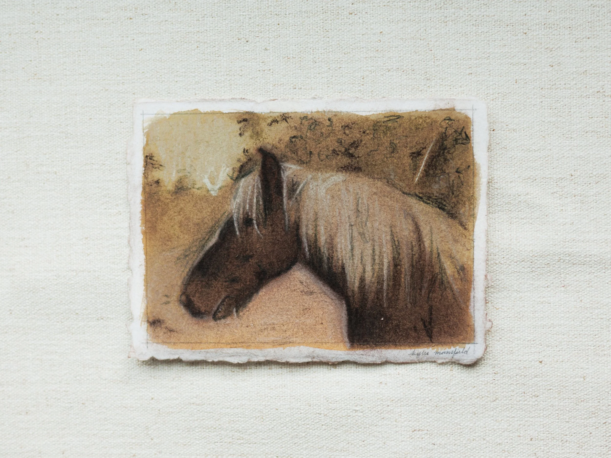 HORSE PROFILE IN WEATHERED SIENNA