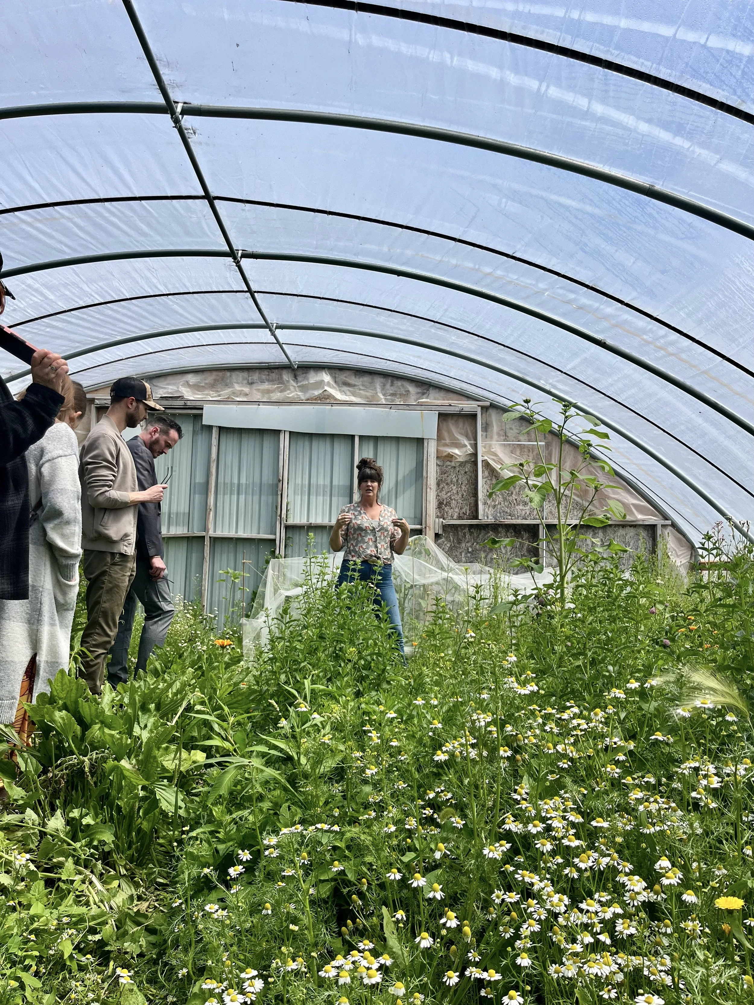 Group of people looking at plants in a green house