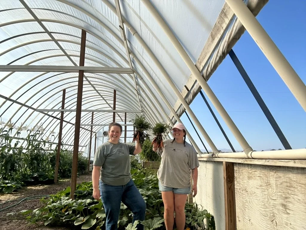 Two young women holding carrots in a demonstration hoop house