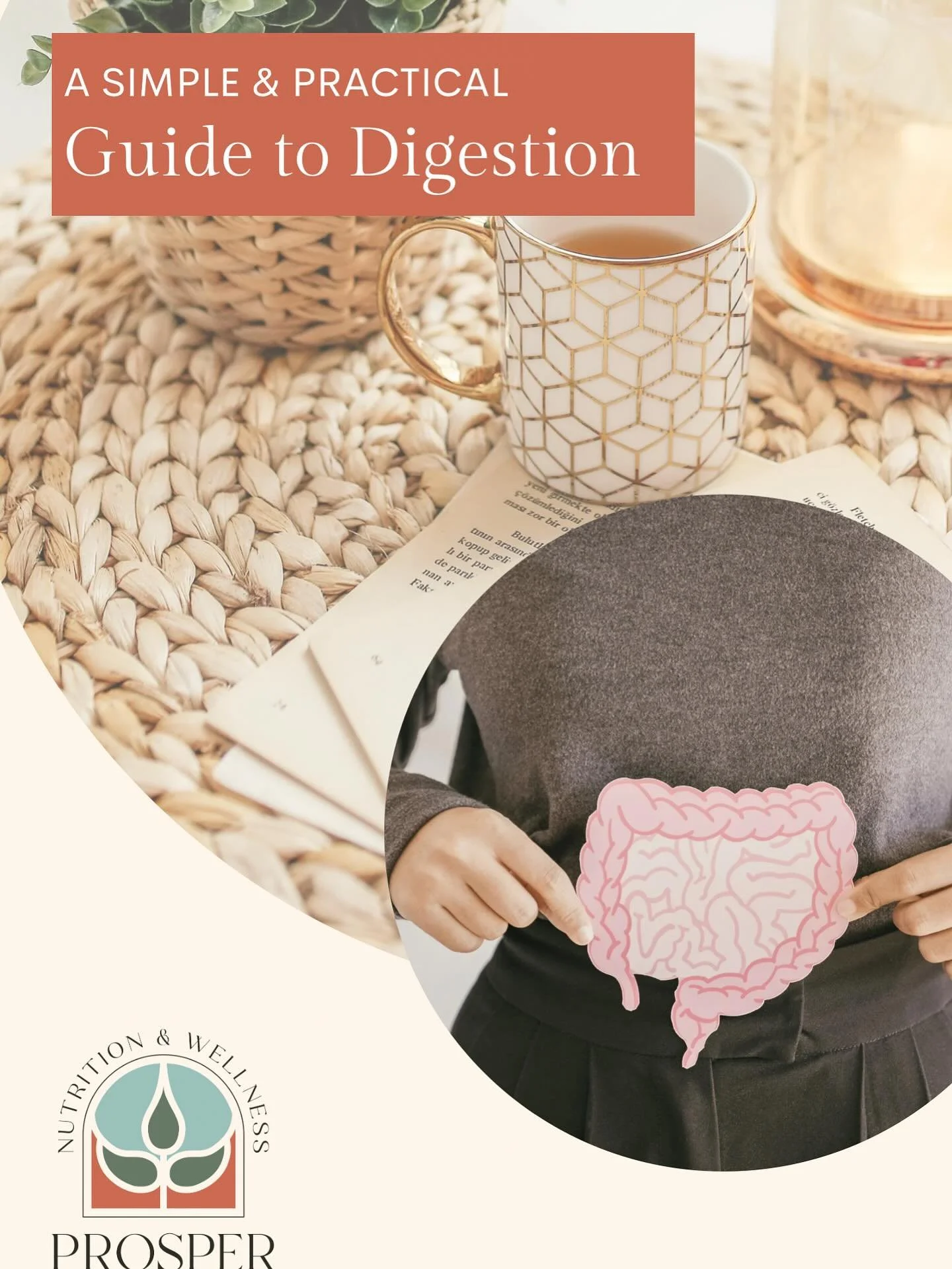 Snag the FREE guide to better digestion- link in bio! 

Tired of these annoying symptoms?

-bloating 
-acid reflux 
-heartburn 
-constipation/diarrhea
-indigestion 
-belching/excessive gas

You are NOT alone!

This free, practical guide to better dig