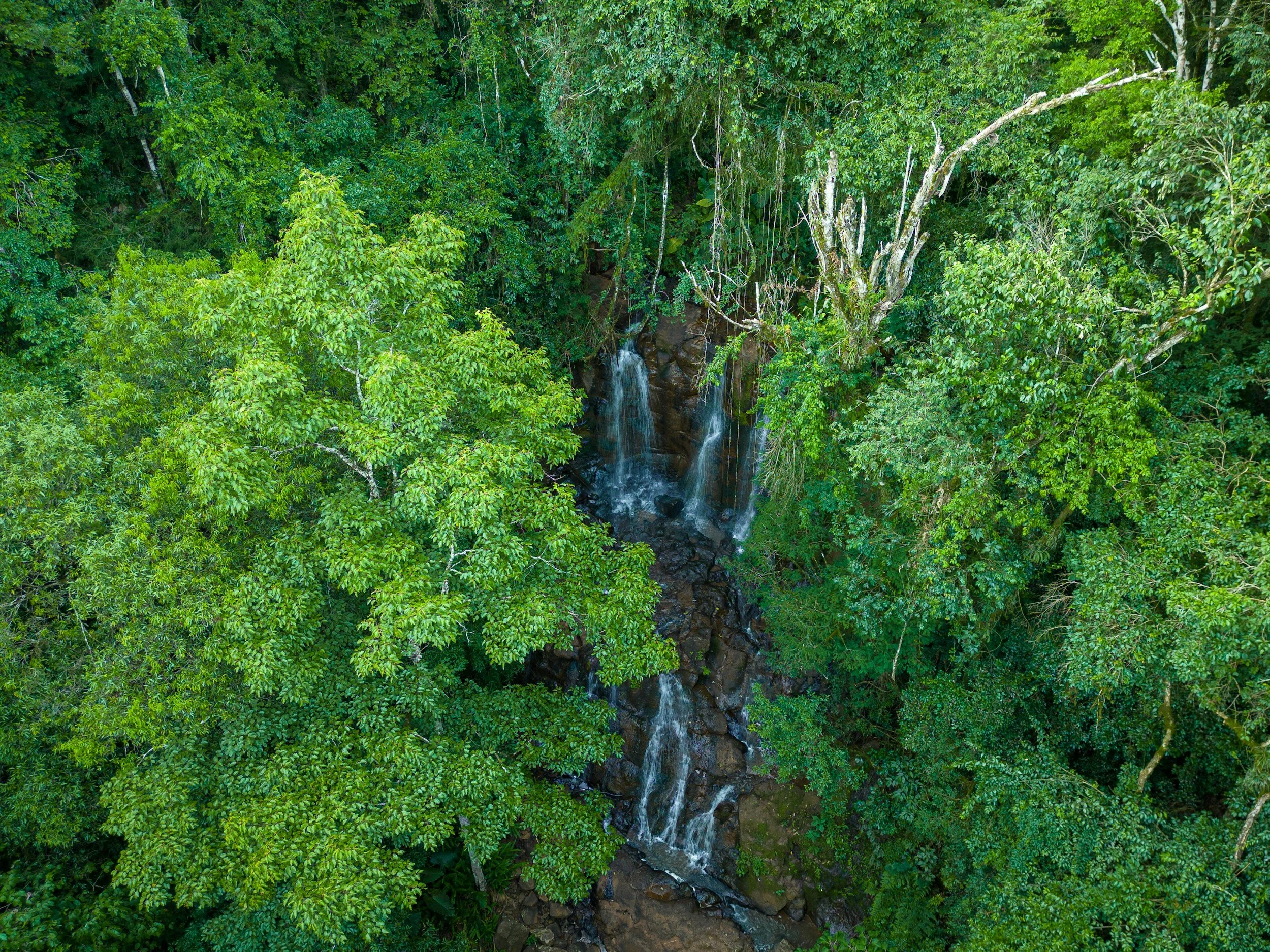Carbon Credits in Brazil
