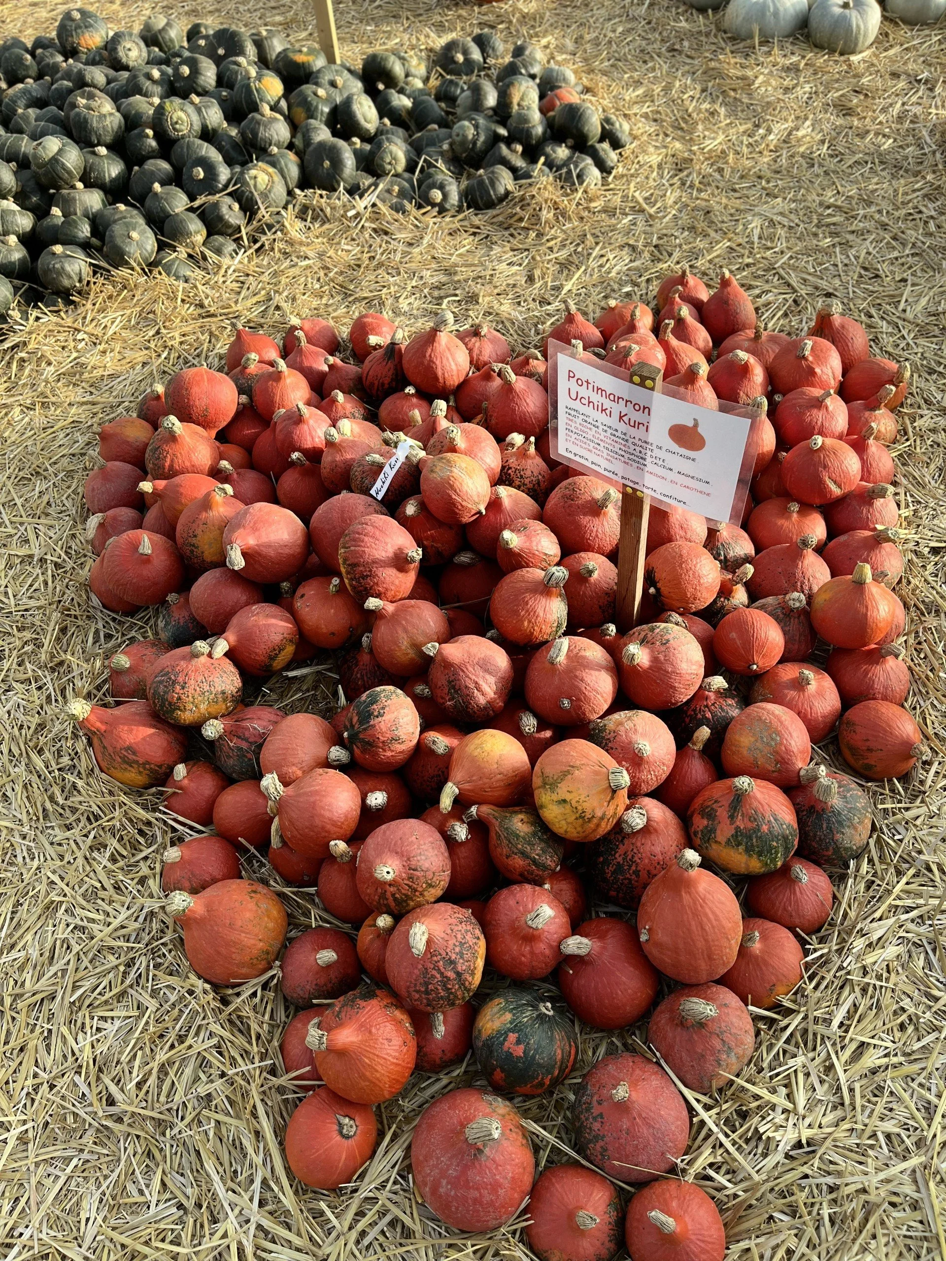 coeur 2025.jpg