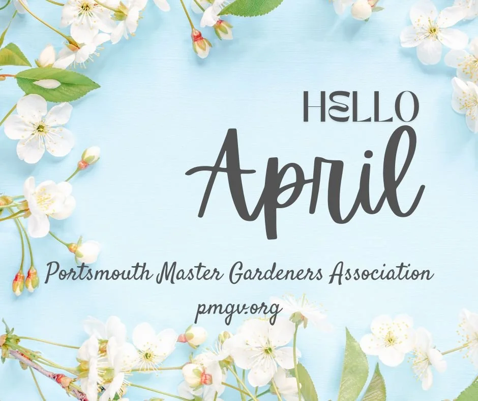 Garden Notes April 2026