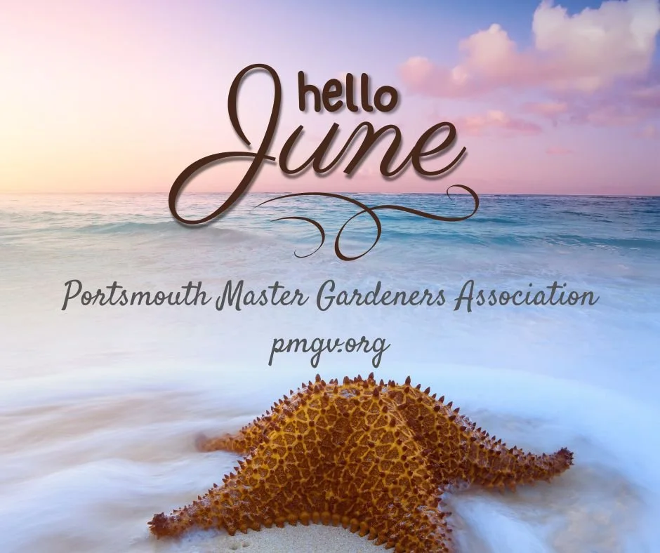 Garden Notes June 2026