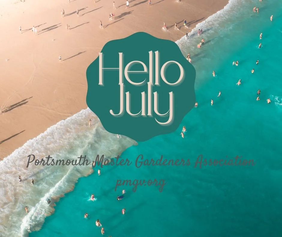 Garden Notes July 2026 