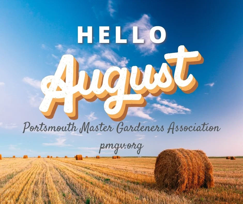 Garden Notes August 2026