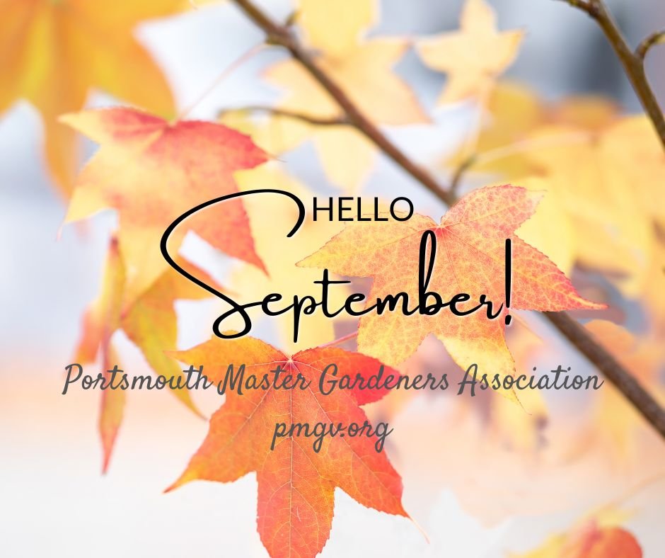 Garden Notes September 2026