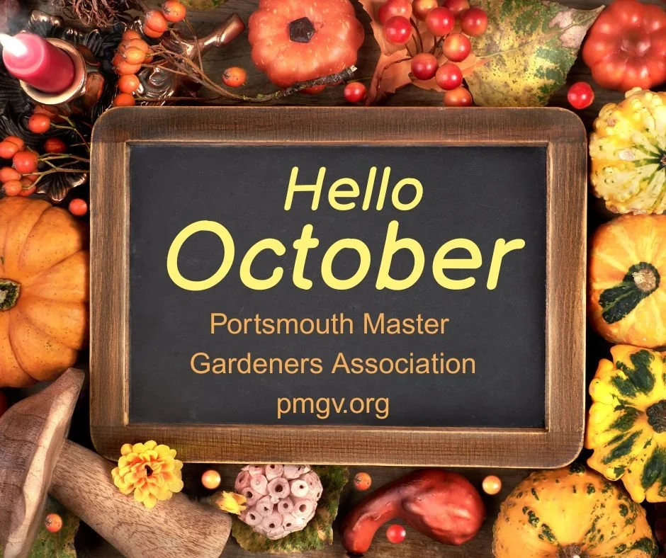 Garden Notes October 2026
