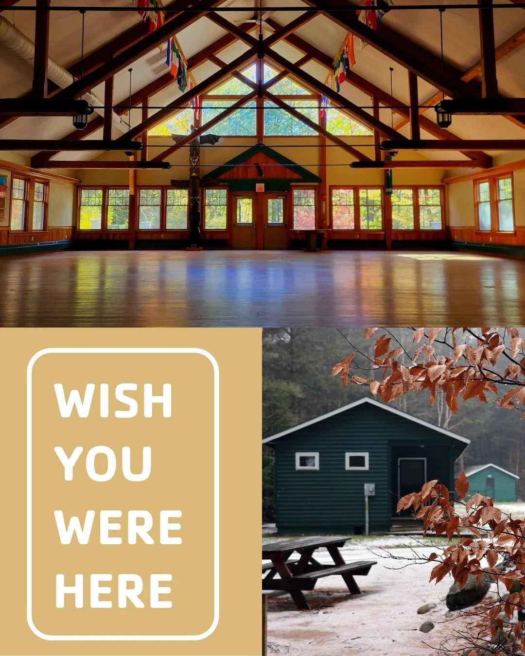 Come back to Takodah for our Annual Meeting on Sunday, October 19th, 11–3pm. A day of food, fun, and fellowship awaits.
Let us know you're coming here at the link in our bio!
