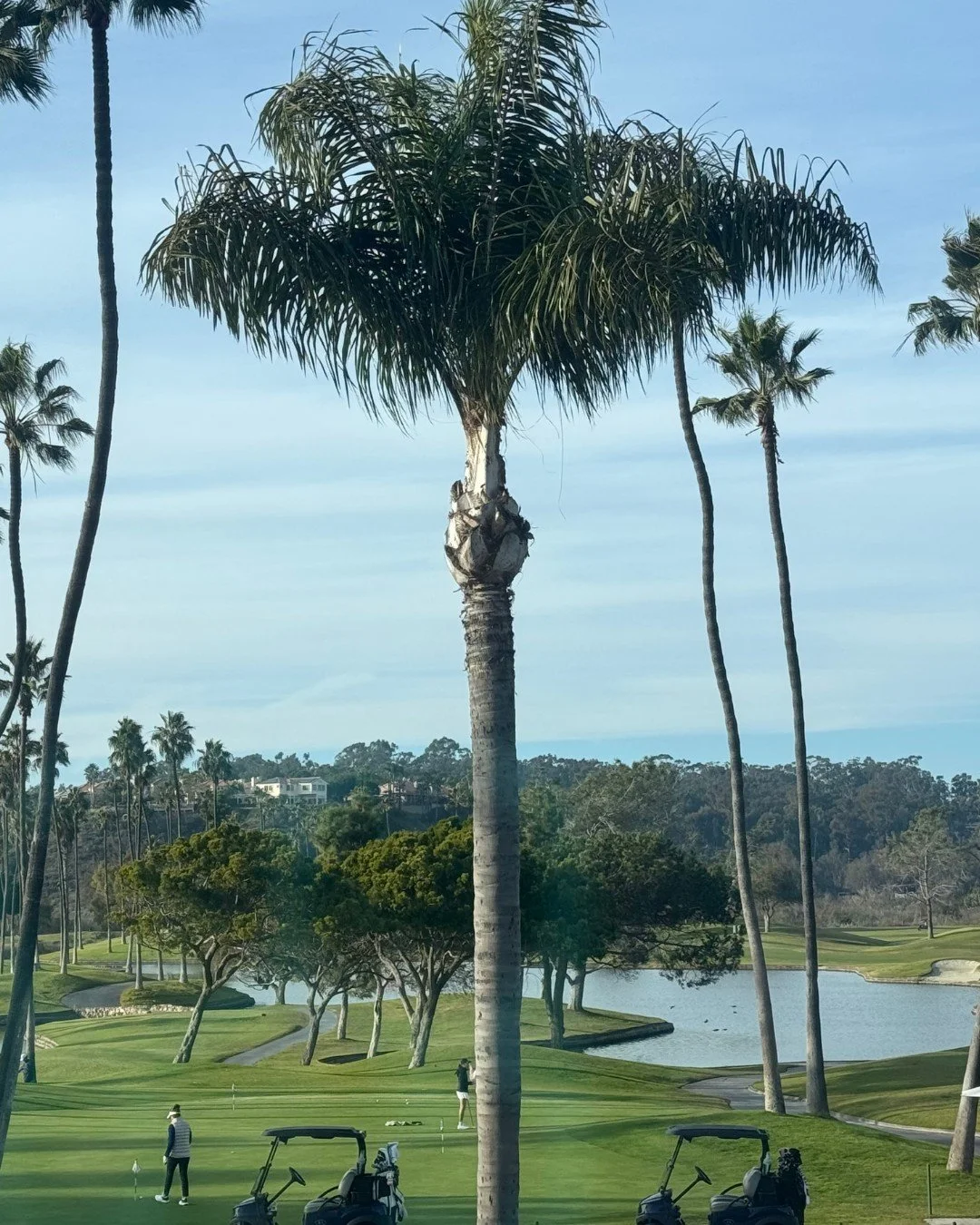 One of the many reasons we&rsquo;re grateful to call San Diego home. 🌿

While Elysian Rose is located in Encinitas, we&rsquo;re fortunate to serve clients from across North County and beyond&mdash;including neighboring communities like Rancho Santa 