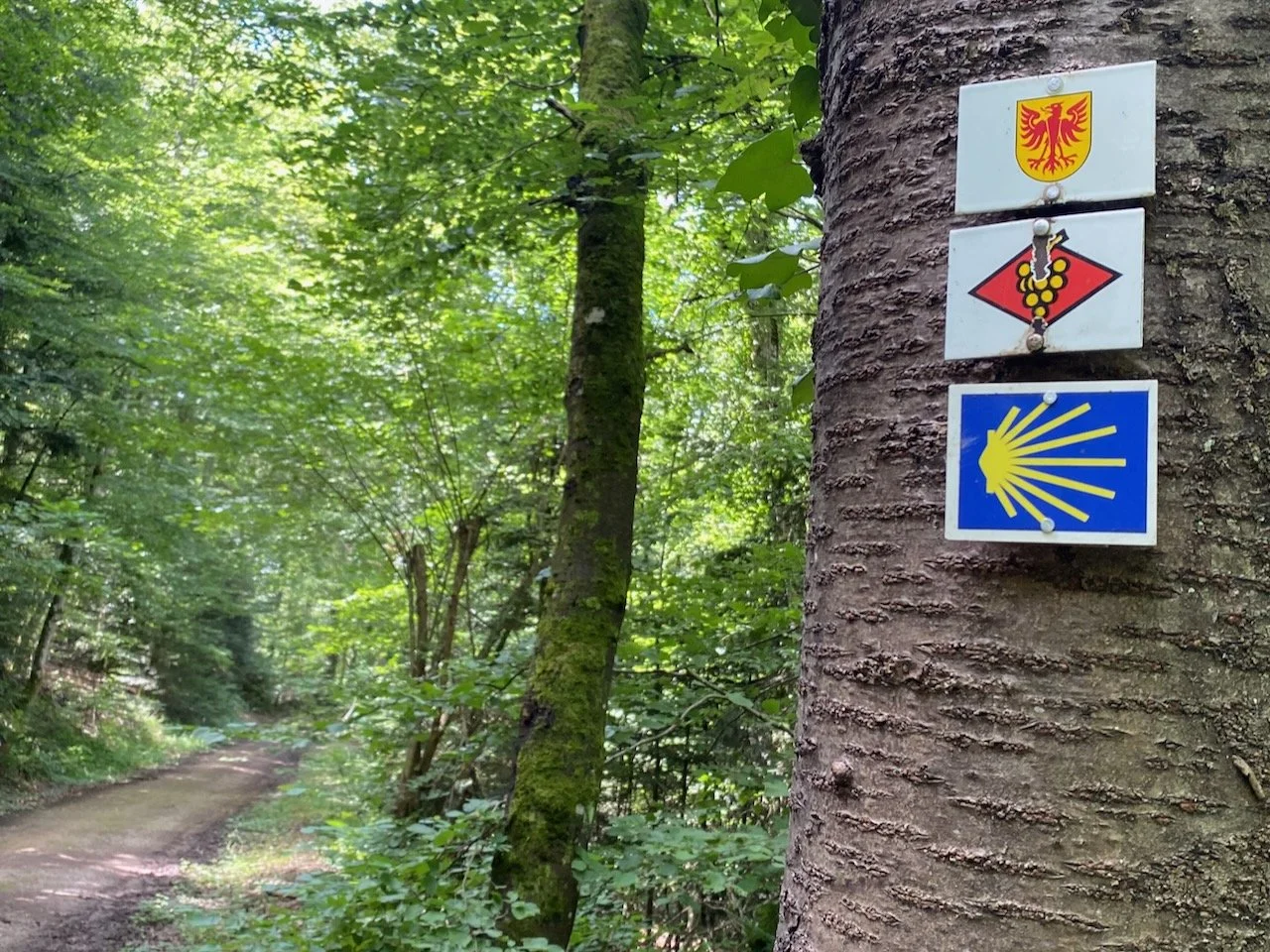 Es muss ja nicht gleich Spanien sein...