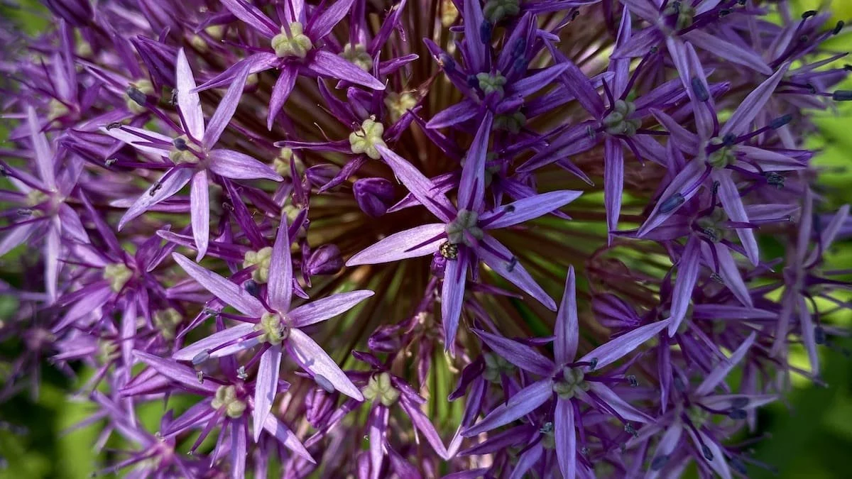 Random Notes: May 20, 2023