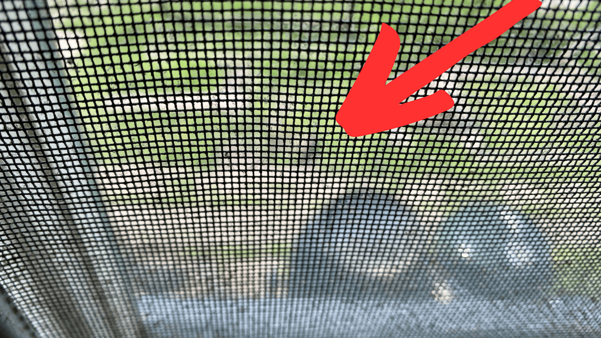 We have CHUCKLINGS!
