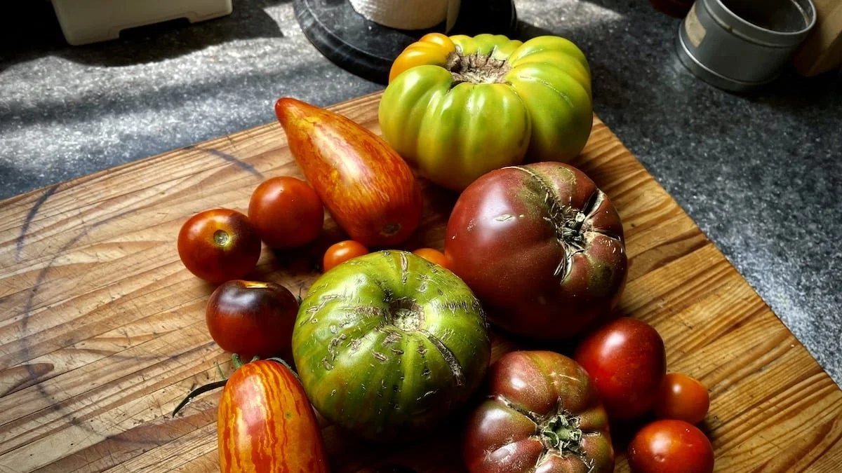 Homegrown Tomatoes
