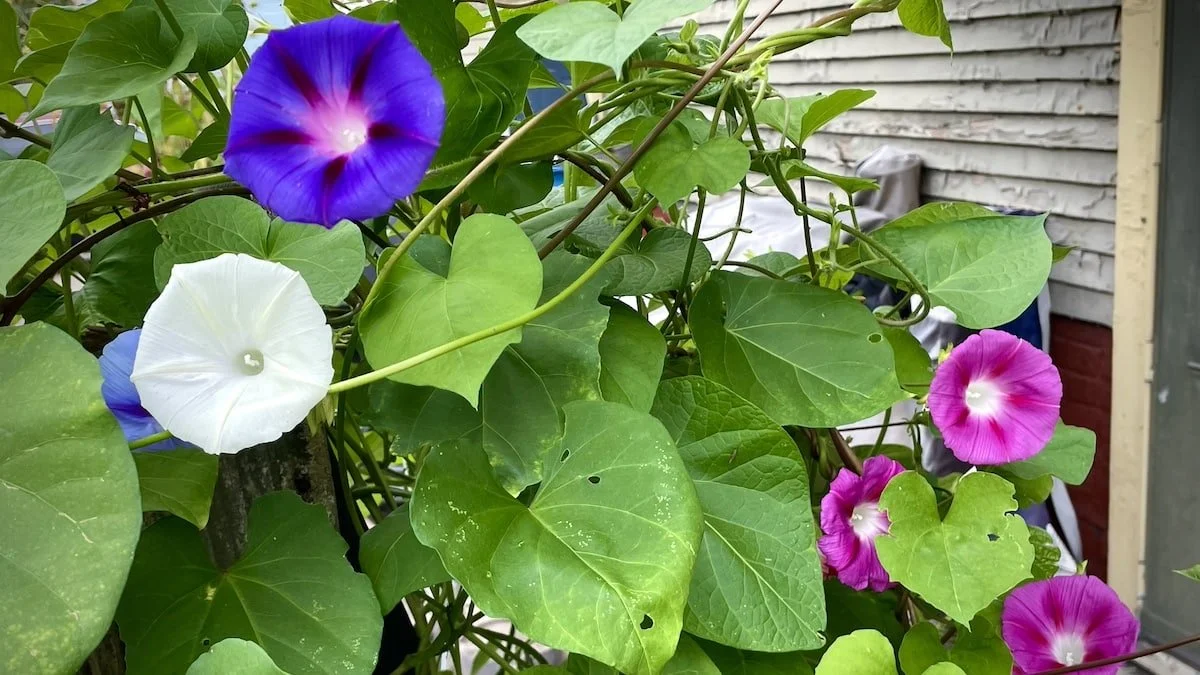 Random Notes: September 29, 2023